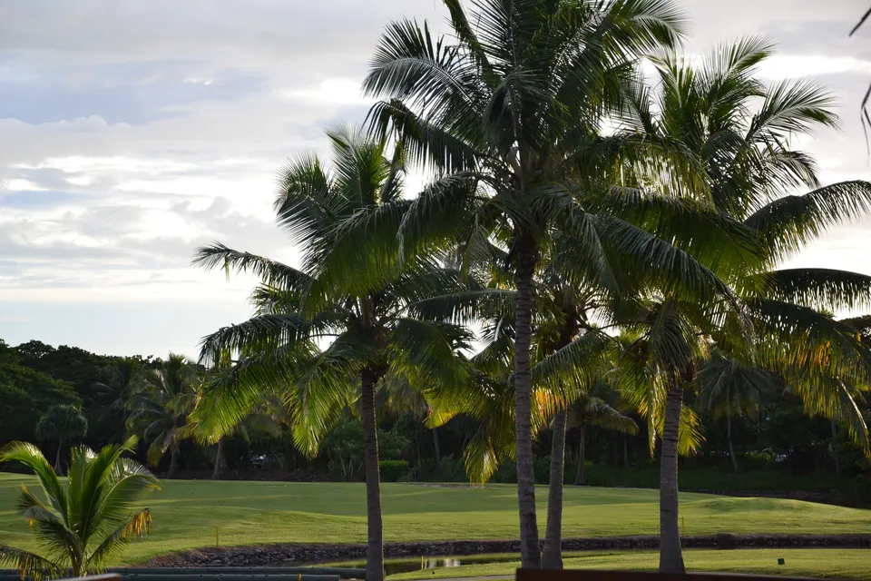 Campo de golf profesional con palmeras y complejos hoteleros de lujo en la península de Denarau.
