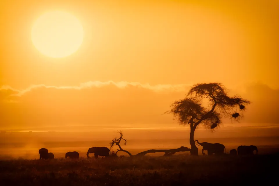 Lecho arcilloso y salino seco del Lago Amboseli con espejismos térmicos en la llanura.
