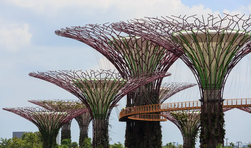 Estructuras verticales futuristas del Supertree Grove iluminadas en Gardens by the Bay, Singapur.