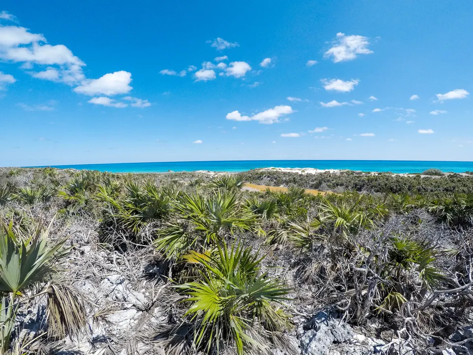 Playa dentro del Exuma Cays Land and Sea Park, Bahamas.