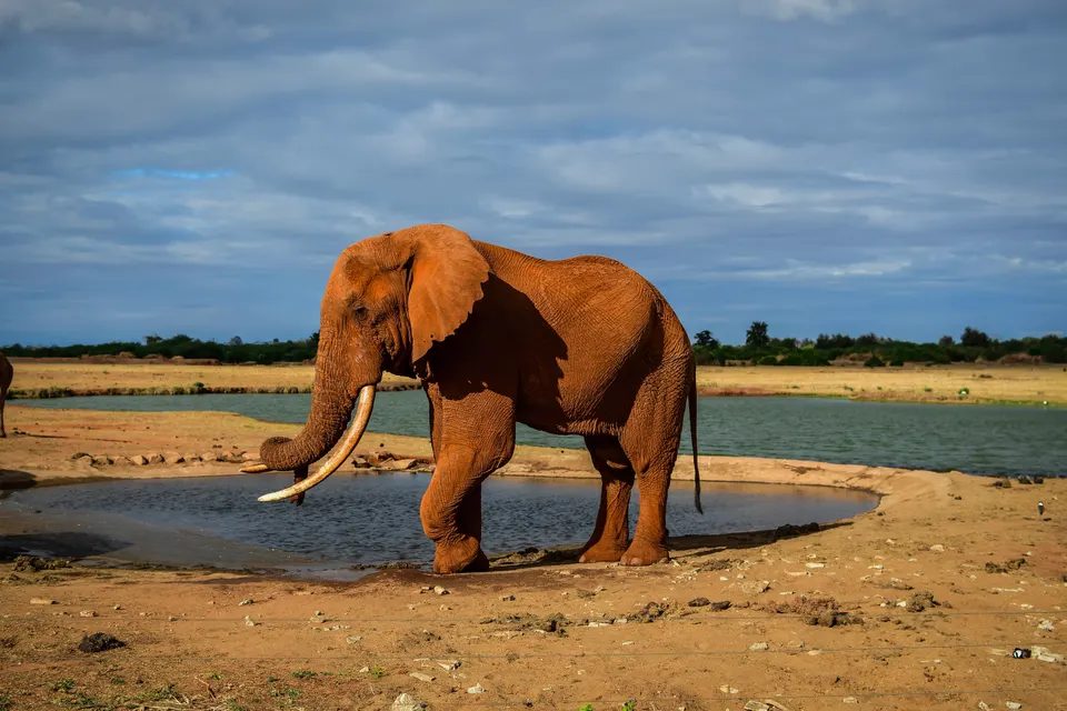 Rápidos y gargantas del río Galana talladas en la roca en Lugard Falls en Tsavo Este.