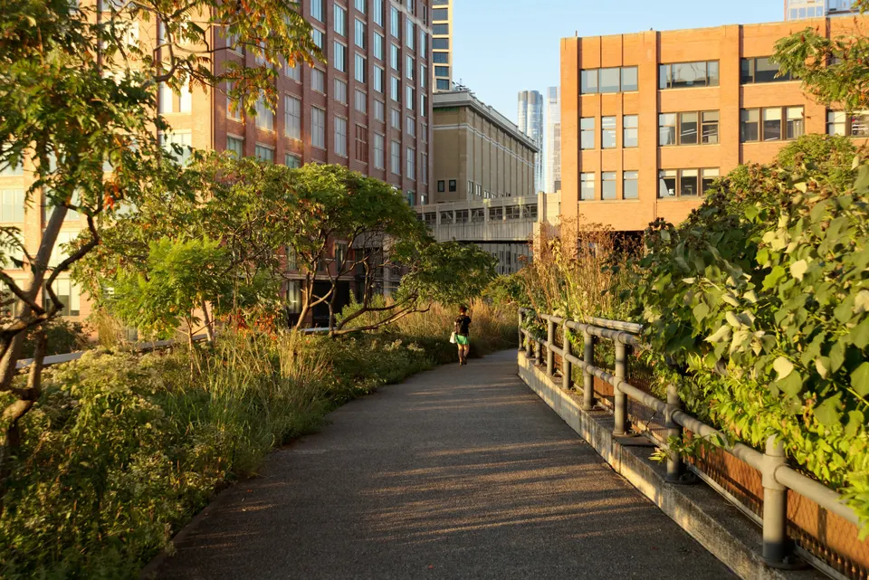 El recorrido elevado del High Line, con su vegetación y las vías de tren integradas.