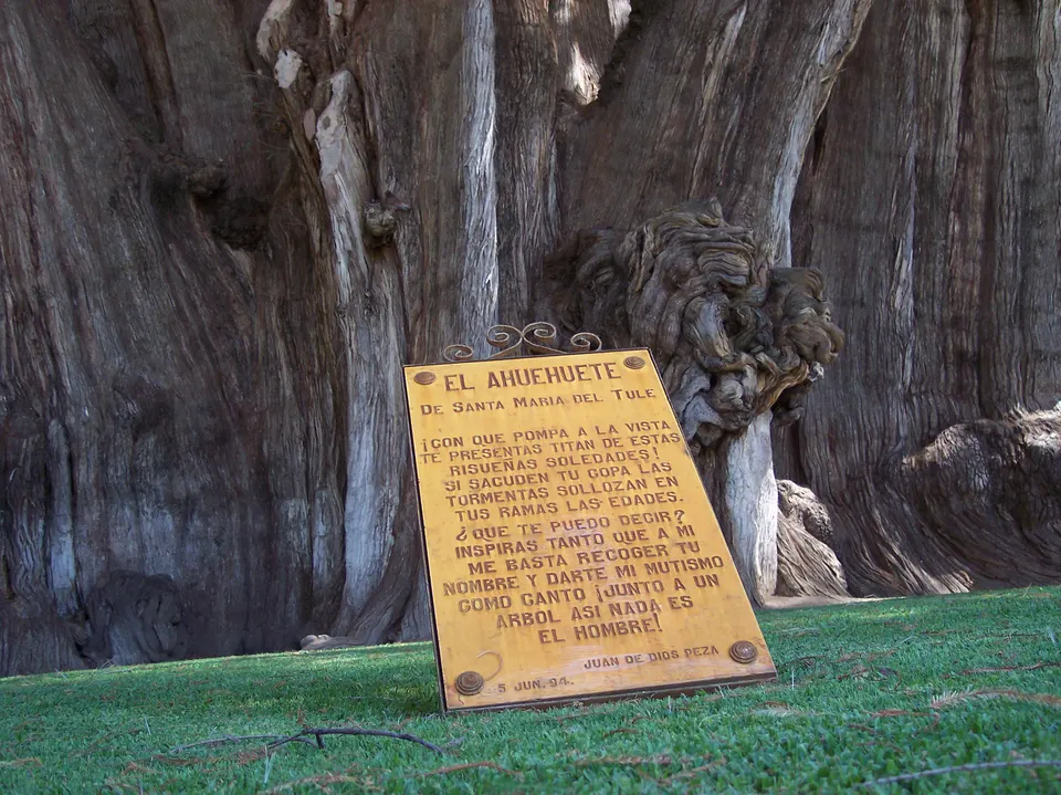 Signboard with a poem about the Tule Tree.
Located in: Santa María del Tule, Oaxaca, Mexico. en oaxaca