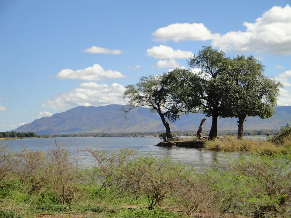 Paisaje de pastizal y vlei en la reserva Chamabondo del Parque Nacional Zambezi cerca de las cataratas.