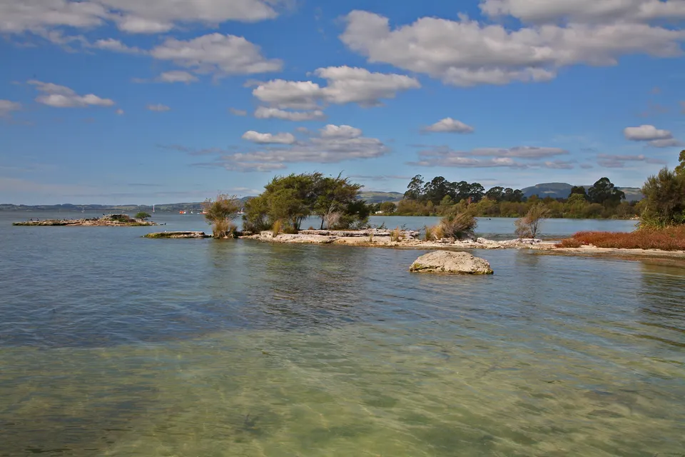 Orilla y pasarelas de madera sobre el lago volcánico de Rotorua con hidroaviones y cisnes negros.