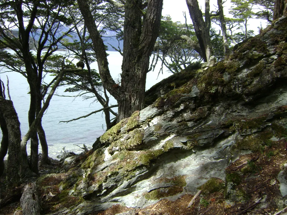 Aguas calmas y bosques subantárticos de Bahía Lapataia, final de la Ruta Nacional 3 en el Parque Nacional Tierra del Fuego.