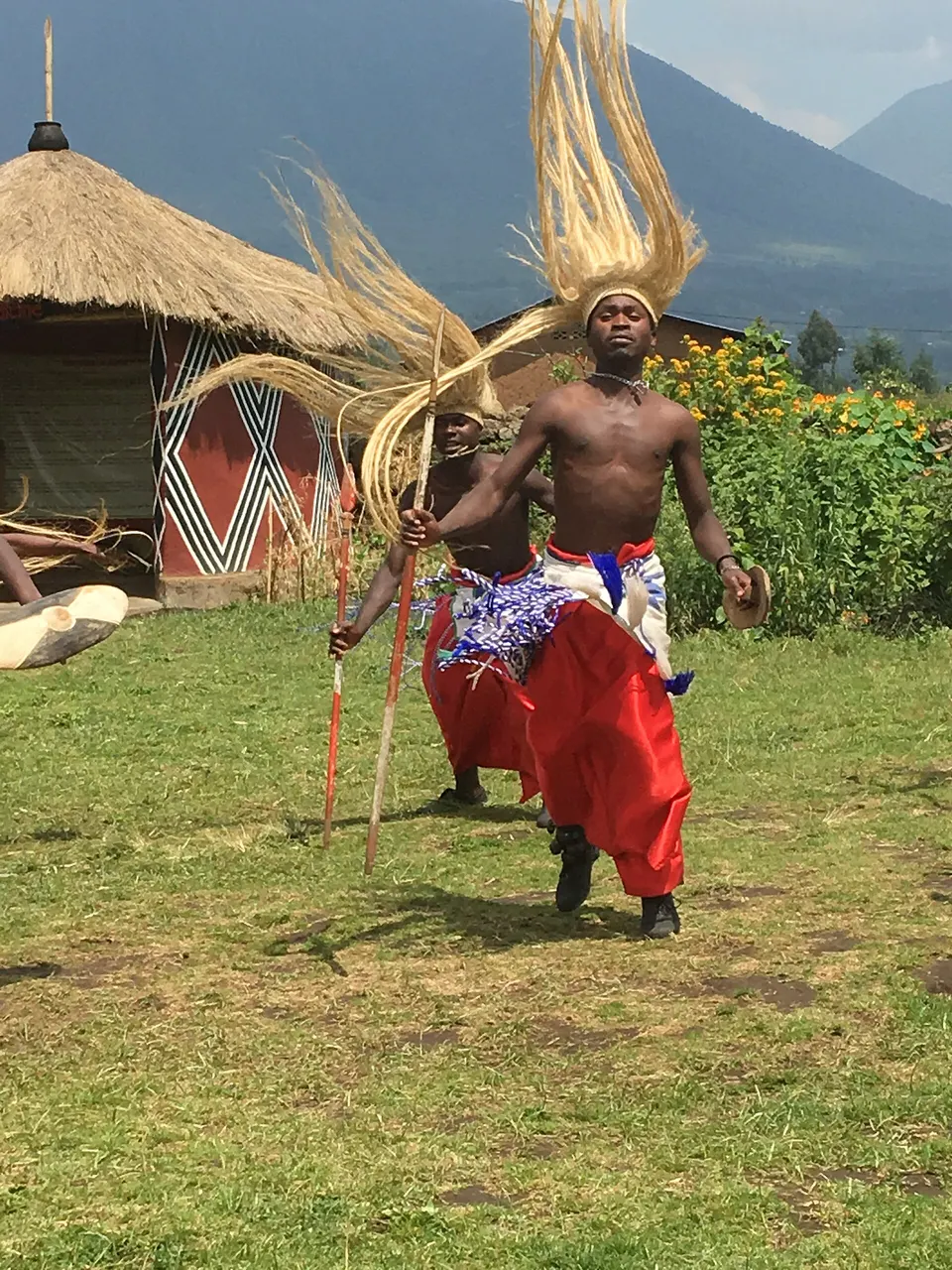 Construcciones tradicionales de paja y danzas comunitarias en la aldea Gorilla Guardians Iby'iwacu.