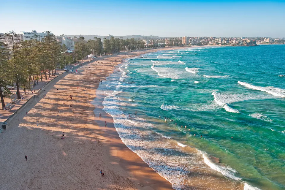 Playa oceánica de Manly Beach flanqueada por majestuosos pinos de la isla Norfolk.