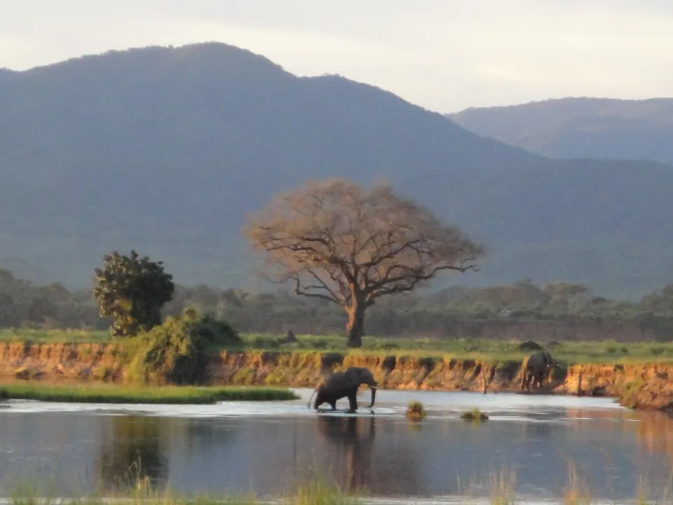 Aguas doradas del río Zambeze con el escarpe montañoso de fondo en el Parque Nacional Mana Pools.