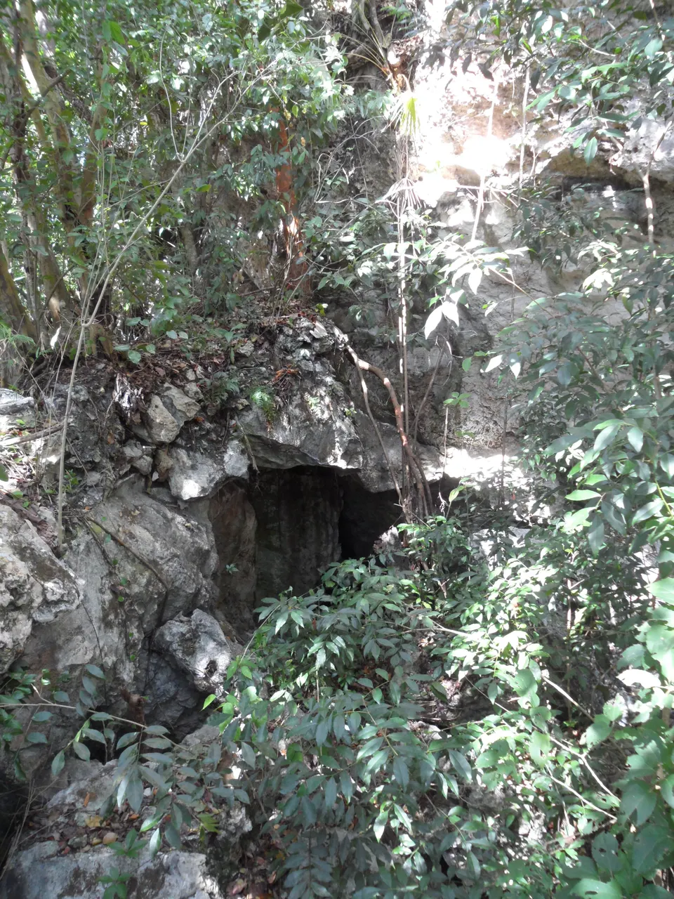 Entorno de las cuevas Lucayan, en el Lucayan National Park, Gran Bahama.