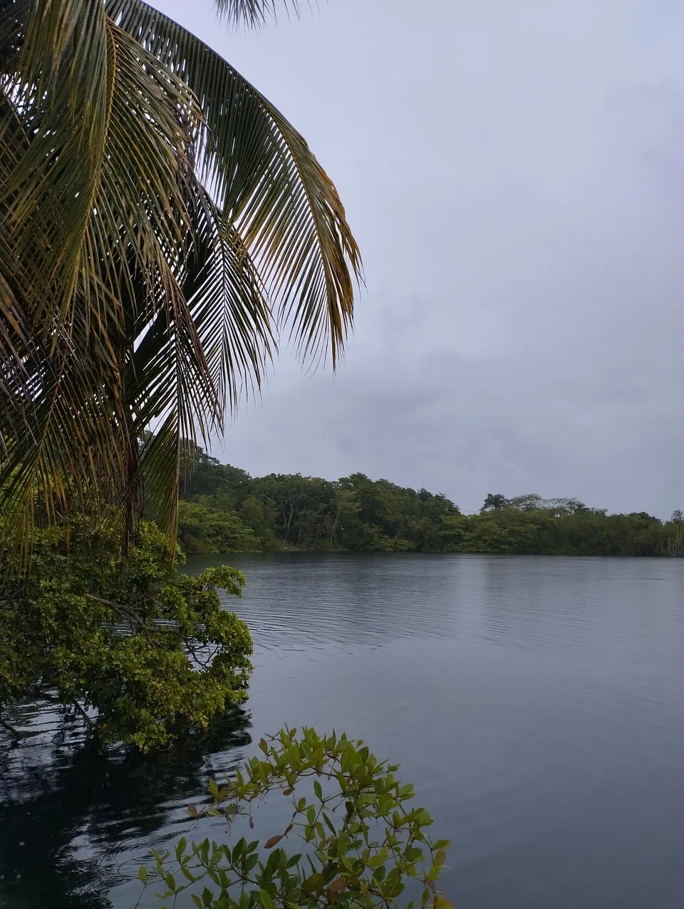 cenote azul riviera en playa-del-carmen, México