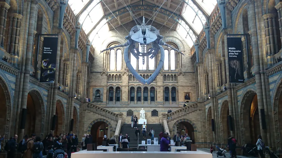 El gran vestíbulo Hintze Hall con el colosal esqueleto de la ballena azul Hope suspendido del techo de madera policromada.