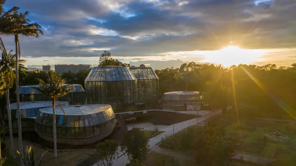 Moderno Tropicario de cristal del Jardín Botánico de Bogotá entre la vegetación de orquídeas y palmas