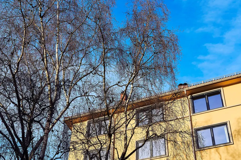 Casas decimonónicas y ambiente bohemio en las calles peatonales del barrio de Grünerløkka en Oslo.