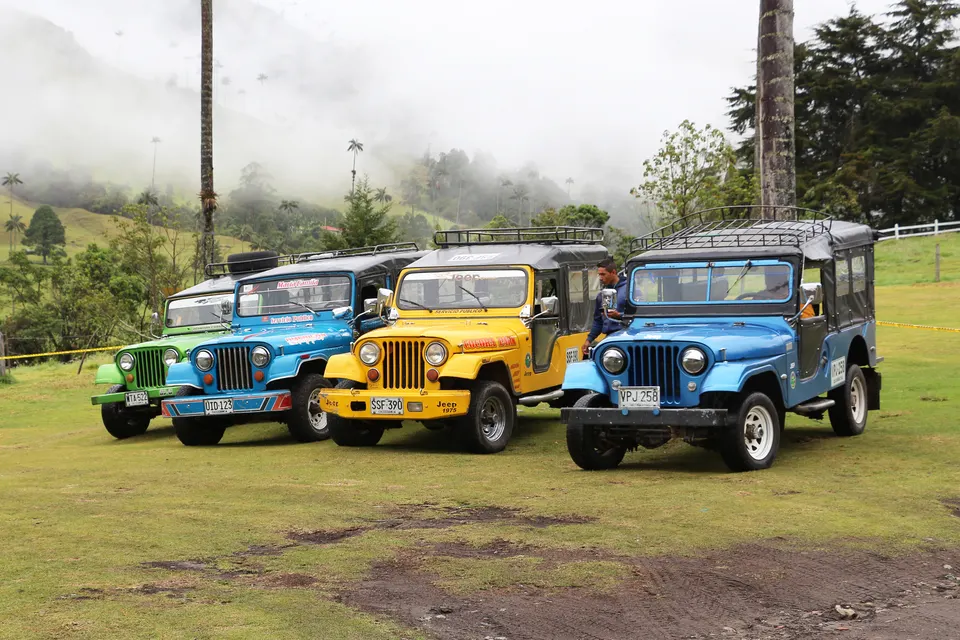 Camperos Jeep Willys tradicionales en ruta por las trochas cafeteras y el Valle de Cocora