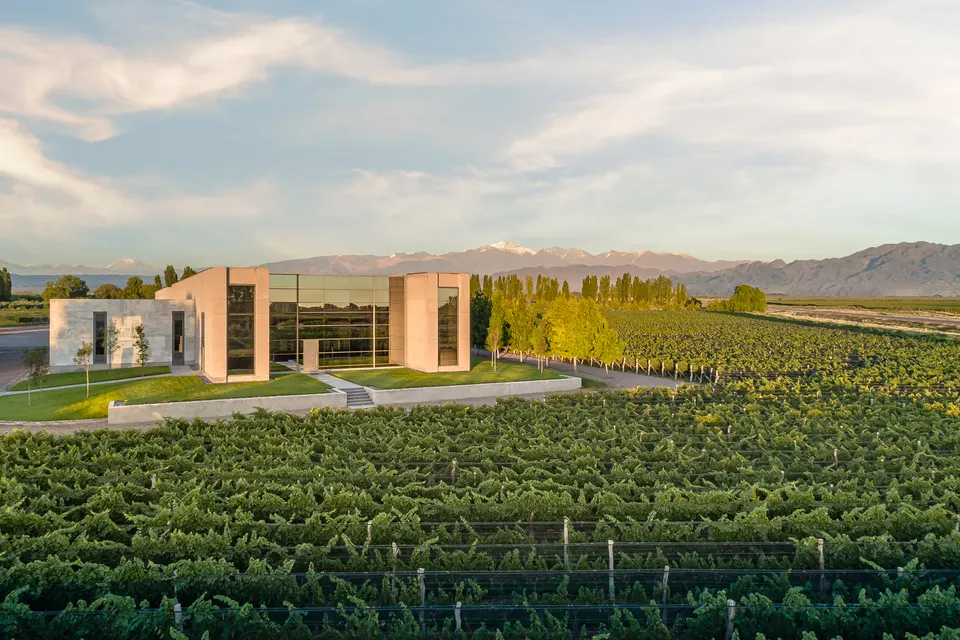 Edificio de vanguardia y viñedos de bodega en Luján de Cuyo, la cuna del Malbec mendocino.