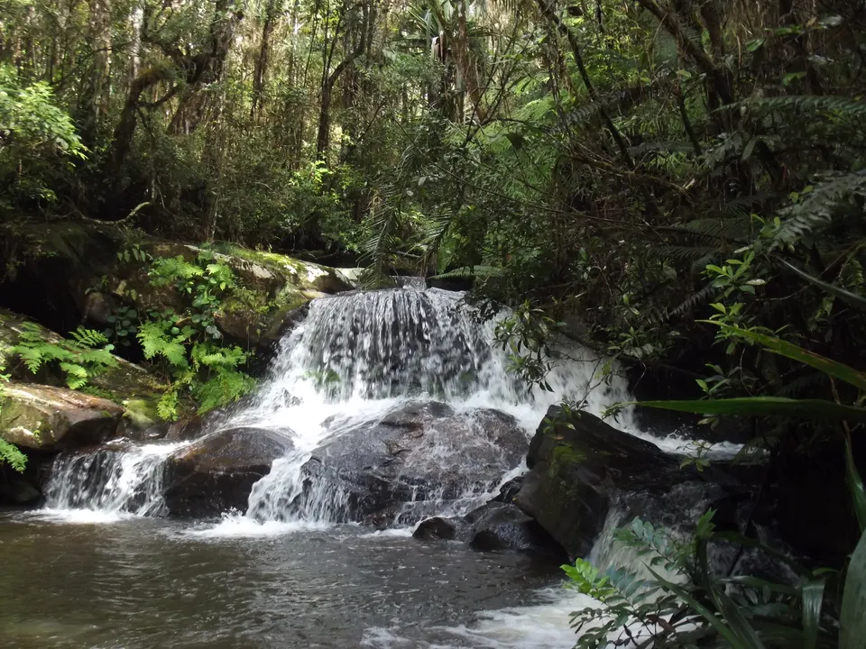 Hermosa cascada natural y poza de agua fresca oculta en la espesura de la selva de Mantadia.