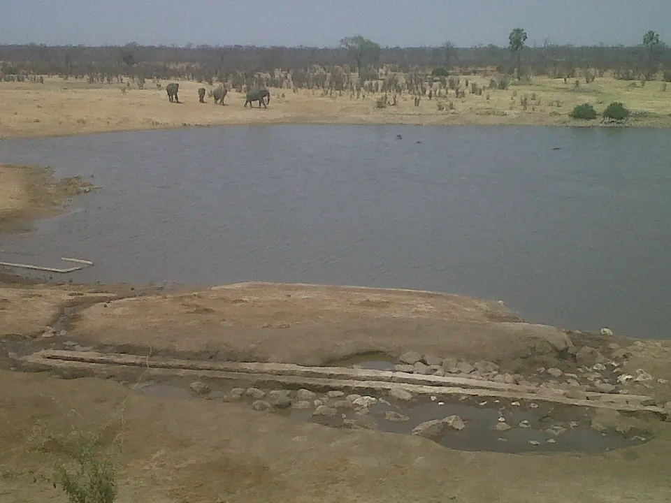 Extenso espejo de agua de la presa de Mandavu con hipopótamos y aves acuáticas en Hwange.