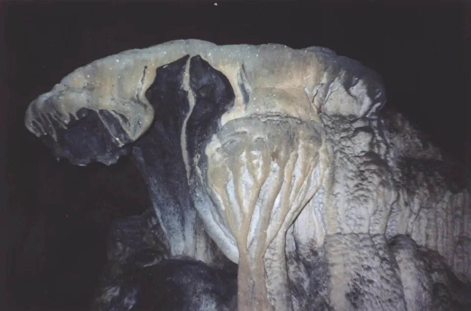 Interior iluminado de las Grutas de Lanquín con estalactitas colosales y senderos espeleológicos.