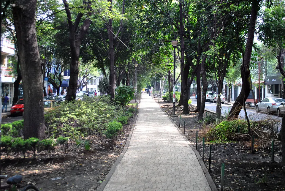 Avenida Amsterdam is located in Colonia Condesa in Cuauhtemoc Mexico City. Its particular elliptical shape comprising at en ciudad-de-mexico