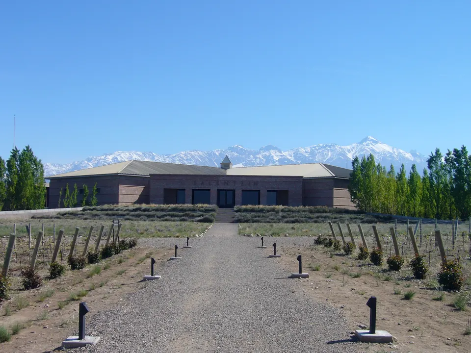 Bodega Salentein y sus viñedos de altura en el Valle de Uco frente a la cordillera.