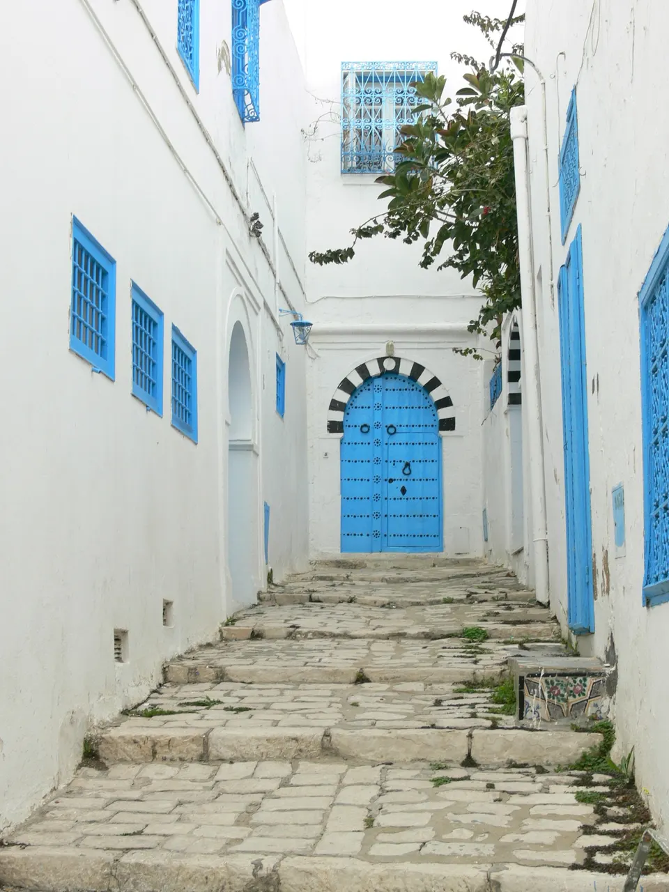 Calle adoquinada de Sidi Bou Said con fachadas blancas, celosías azules y buganvillas.