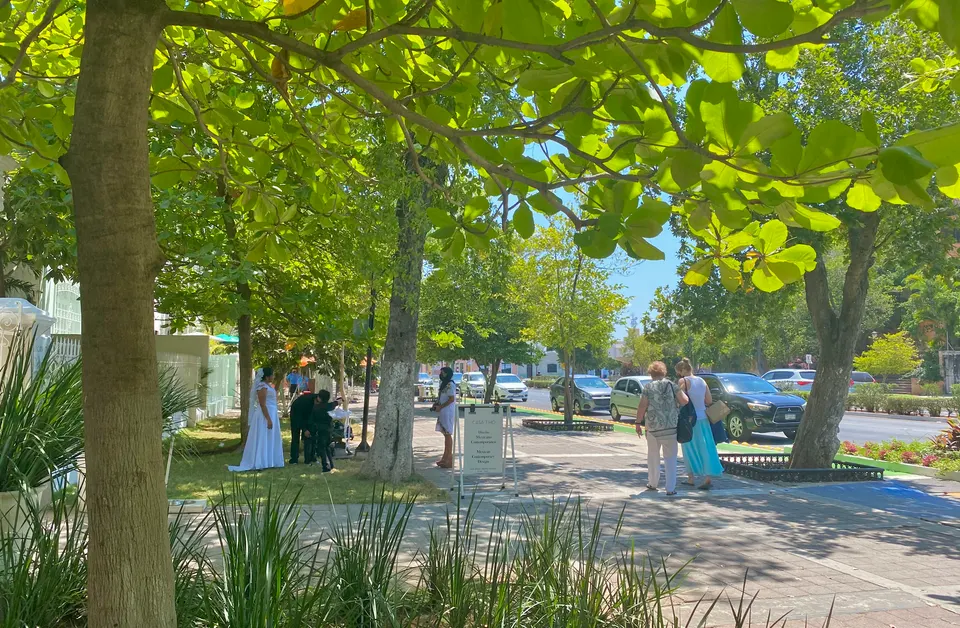 Avenida arbolada del Paseo de Montejo con casonas de estilo afrancesado de la época del henequén.