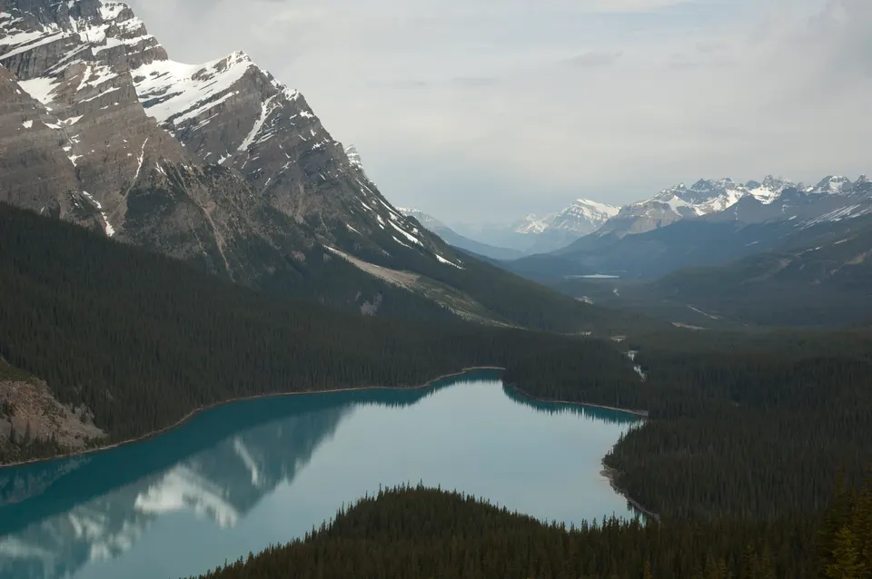 La icónica silueta en forma de lobo del Lago Peyto con su intenso color azul turquesa desde Bow Summit.
