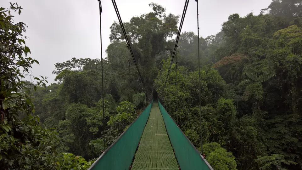 View of hanging bridge in Costa Rica en costa-rica