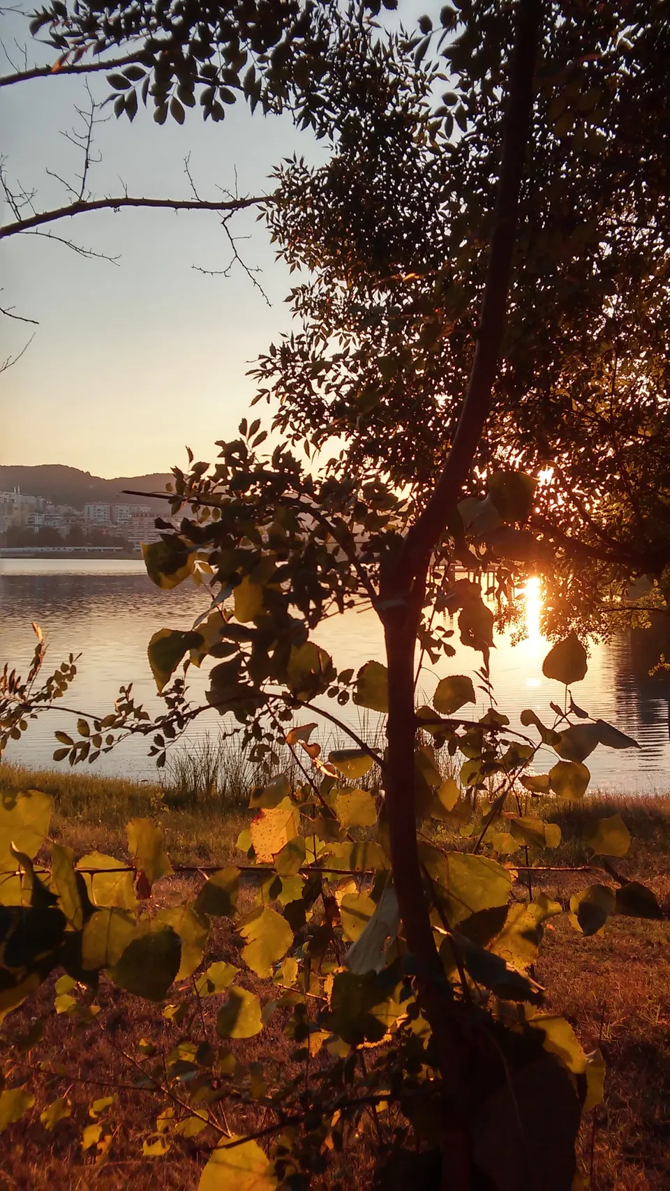 El lago artificial de Tirana visto desde uno de sus muelles.