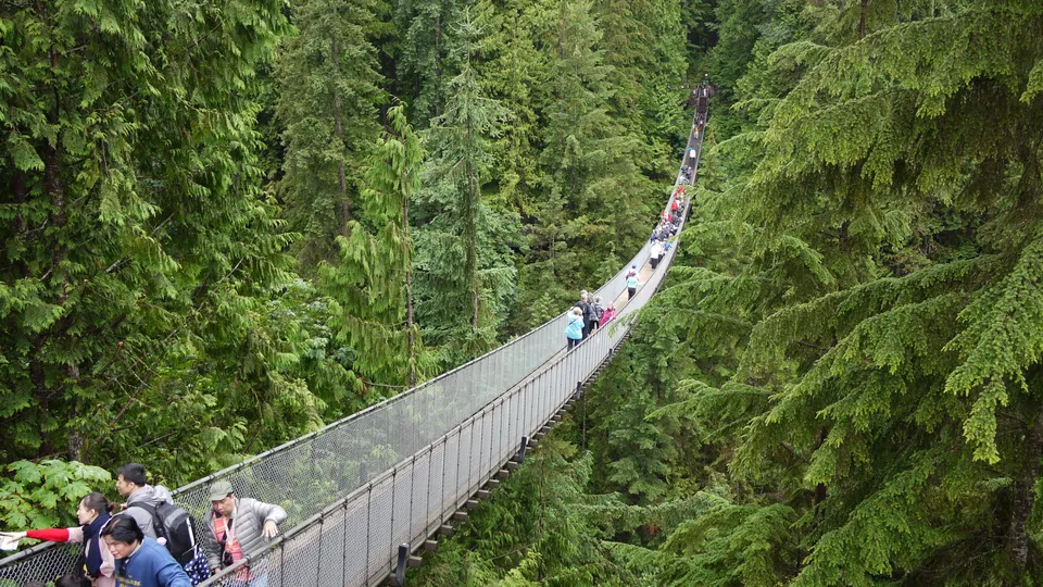 Puente colgante de Capilano suspendido sobre el cañón del río y rodeado de bosque templado lluvioso en North Vancouver.