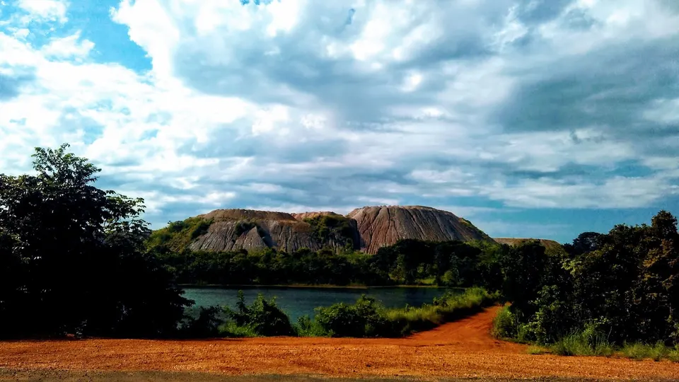 Humedales y rica biodiversidad de fauna en el bioma del Pantanal, Brasil.
