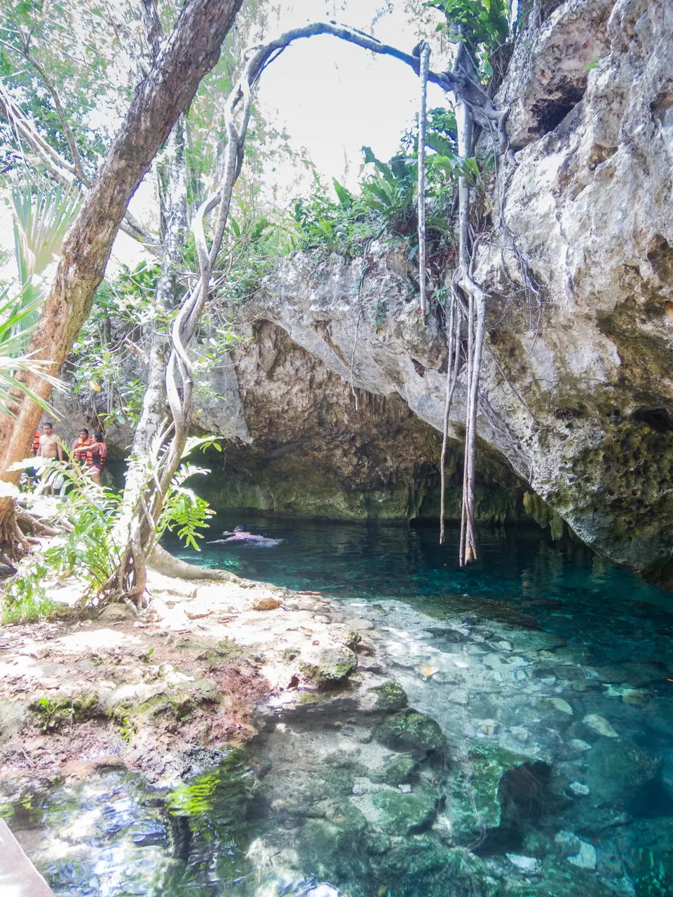 Entrada semiabierta y pasarelas de madera del Gran Cenote en la selva de Tulum.