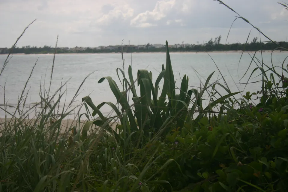 LLEGANDO A PLAYA DEL CARMEN DESDE LA PLAYA LAS MAMITAS en playa-del-carmen