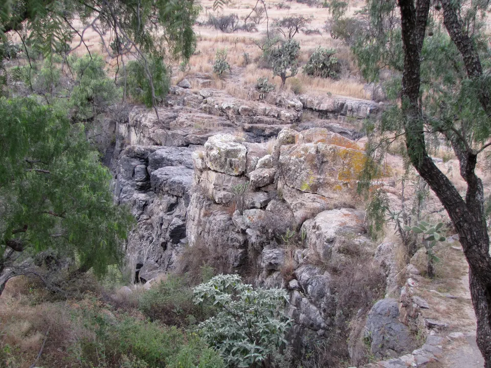 Cañada natural y reserva botánica de cactáceas en El Charco del Ingenio.