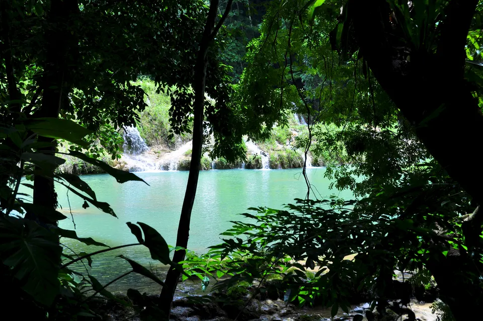 Canales kársticos de travertino formando toboganes naturales de agua dulce entre la selva.