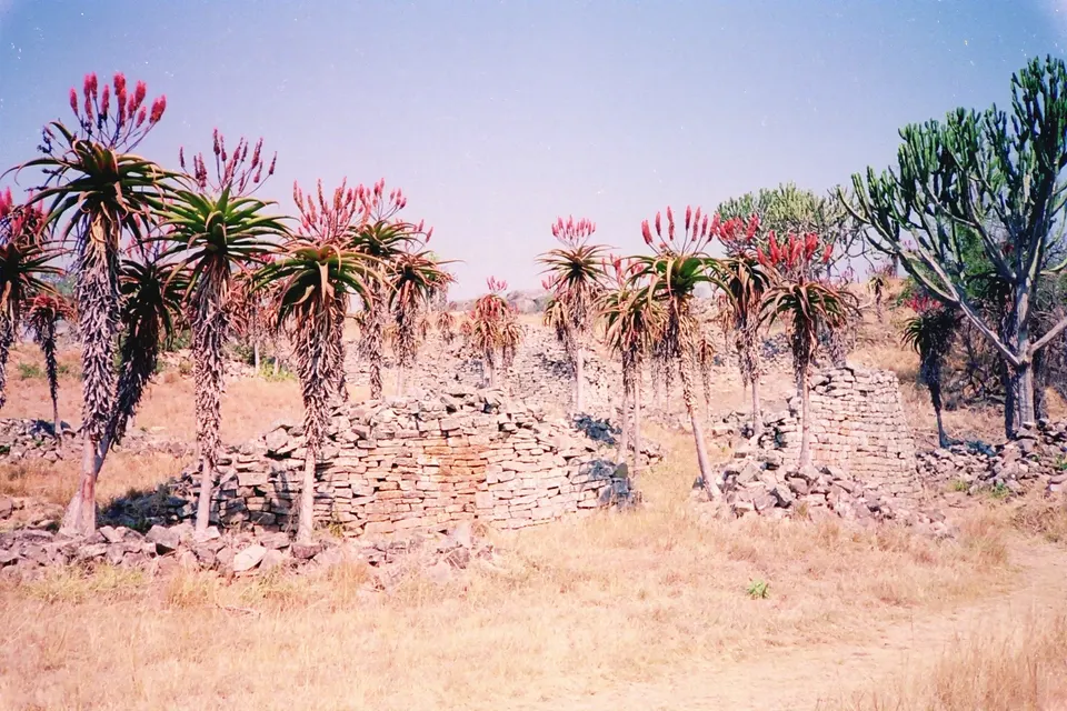 Estructuras residenciales de piedra y vegetación de áloes en el Complejo del Valle de Gran Zimbabue.
