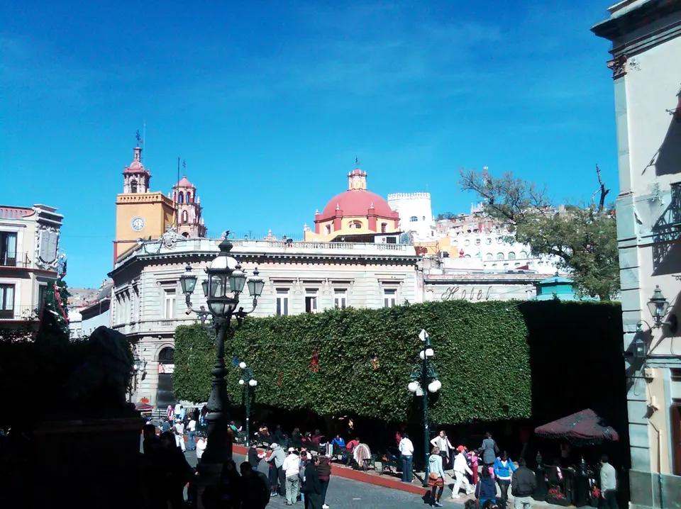 Frondosos laureles de la India y quiosco de hierro forjado en el Jardín de la Unión de Guanajuato.