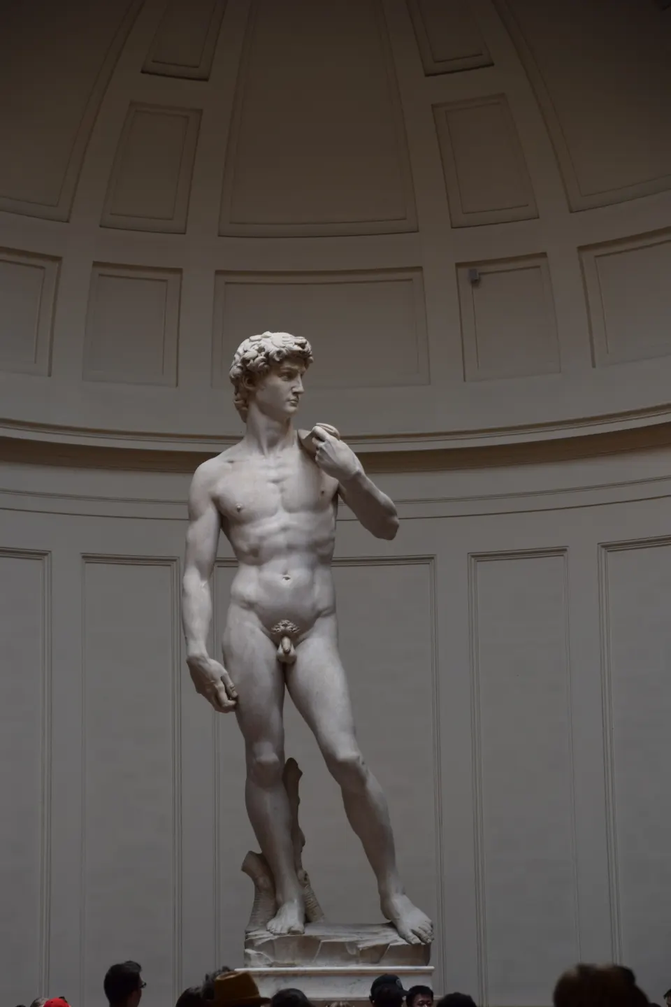 El David de Miguel Ángel, en la Galleria dell'Accademia de Florencia.