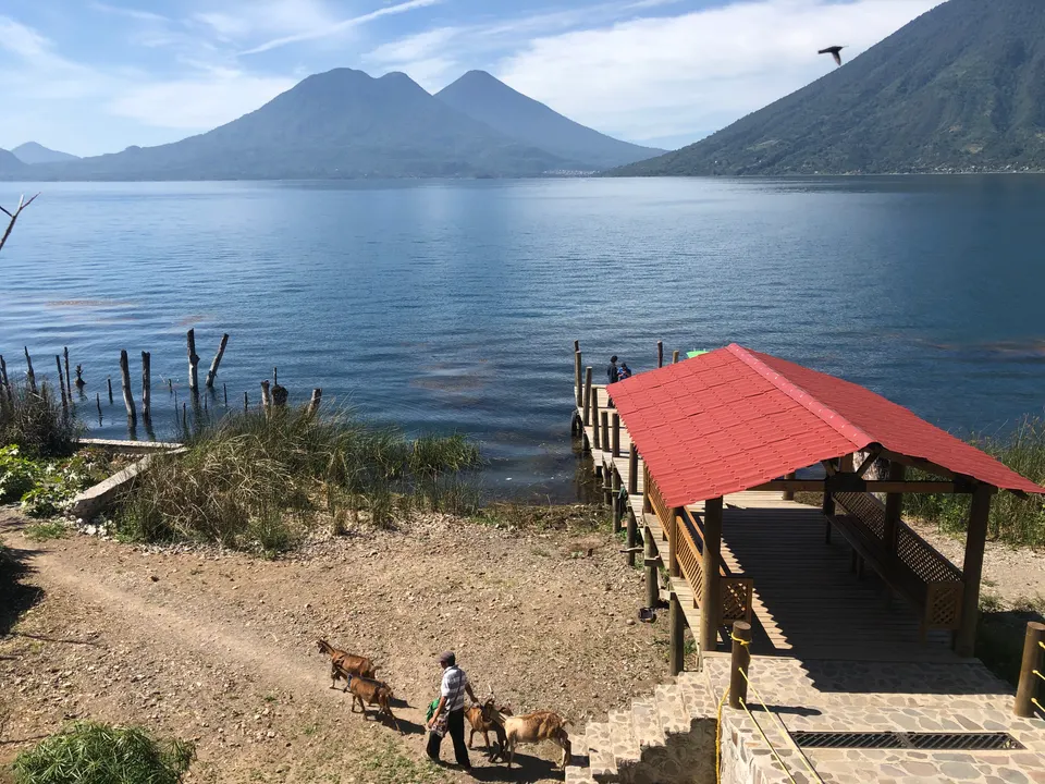 Embarcadero de madera rodeado de exuberante vegetación y aguas transparentes en San Marcos La Laguna.