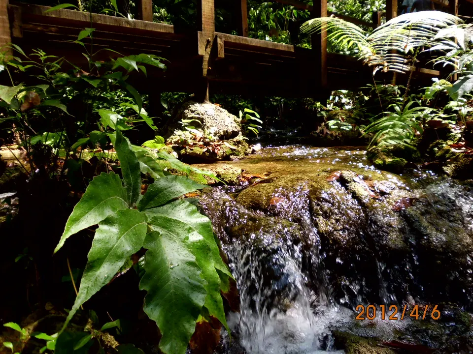 Pasarelas de madera y escaleras ecológicas que comunican las pozas de Semuc Champey.