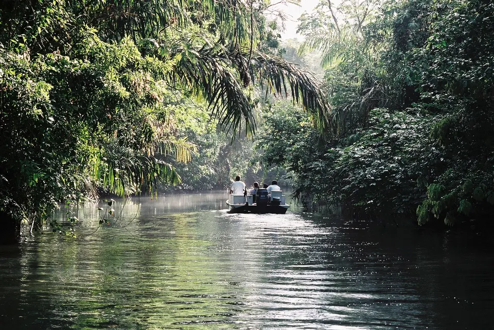 Excursión en lancha por los canales selváticos del Parque Nacional Tortuguero en Tortuguero, Costa Rica