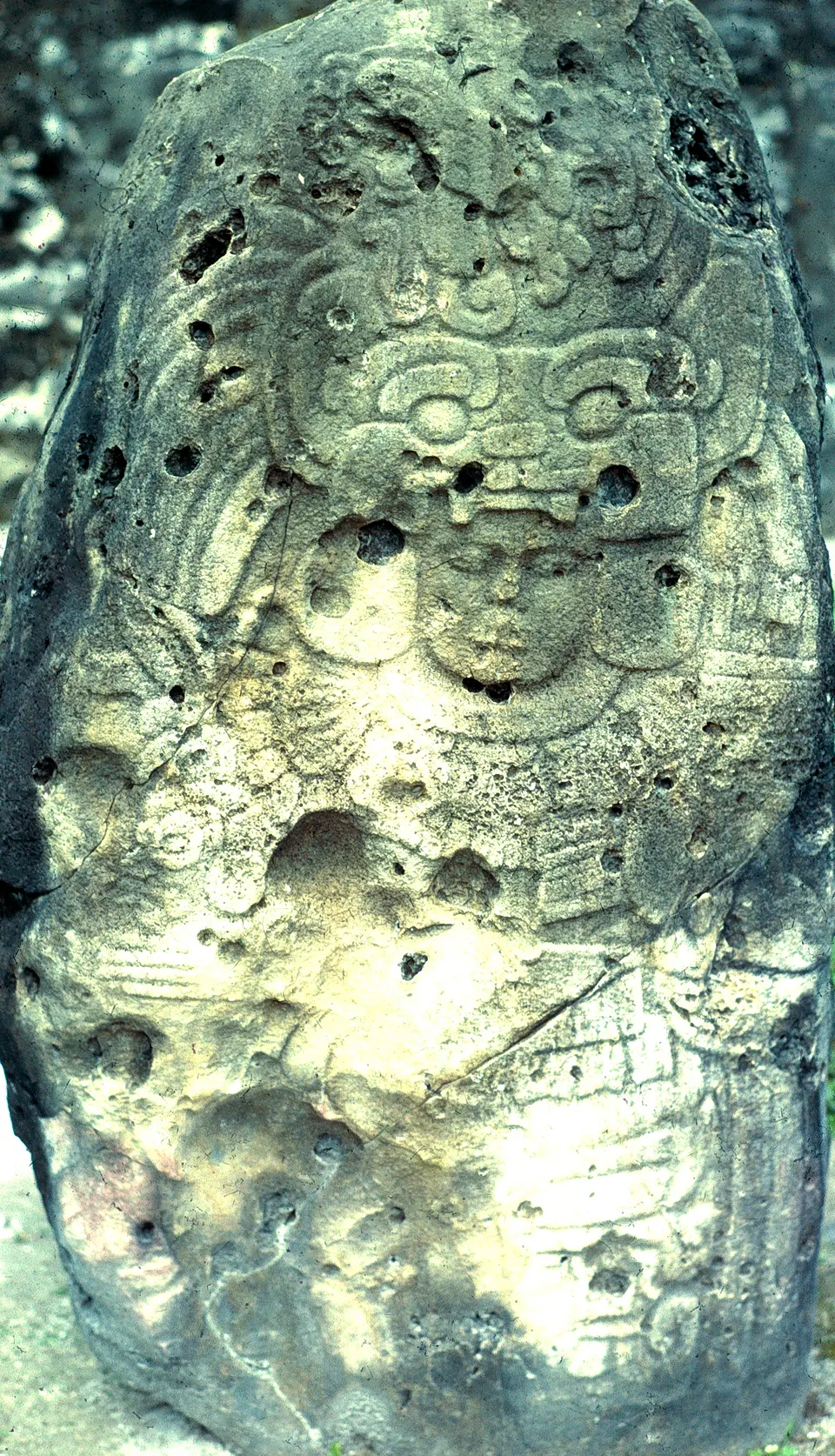 Estela maya finamente grabada con glifos cronológicos y retrato dinástico en Tikal.