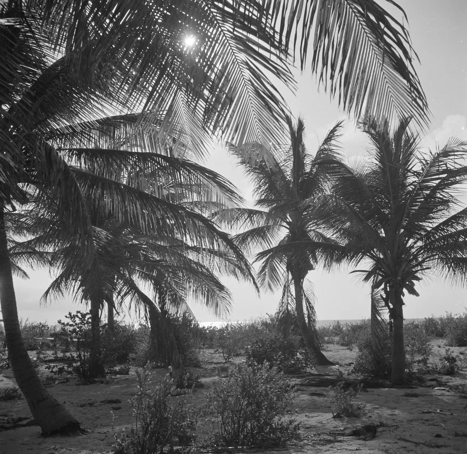 Atardecer en Palm Beach, Aruba.