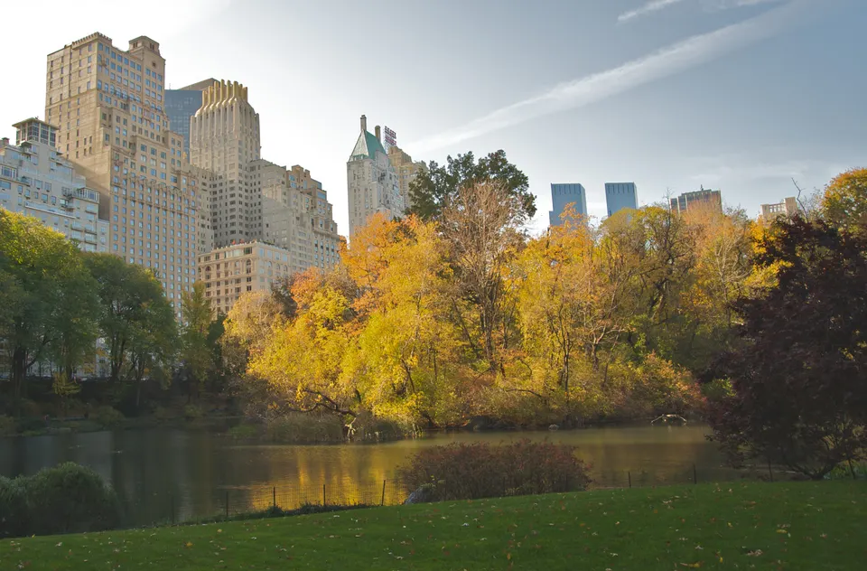 Central Park en otoño, con los árboles cambiando de color.
