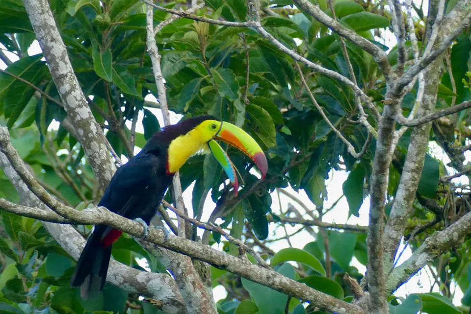 Basecamp Arenal, Tronadora, Tilarán, Guanacaste, COSTA RICA en la-fortuna