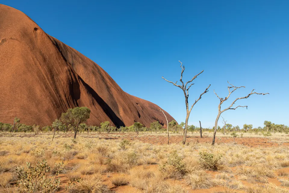 La poza sagrada de Mutitjulu Waterhole encajada en un cañón de roca con arte aborigen en Uluru.