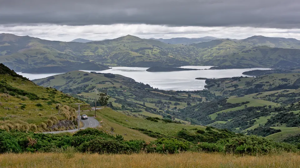 Paisaje volcánico y aguas turquesas del puerto natural de Akaroa en la península de Banks.