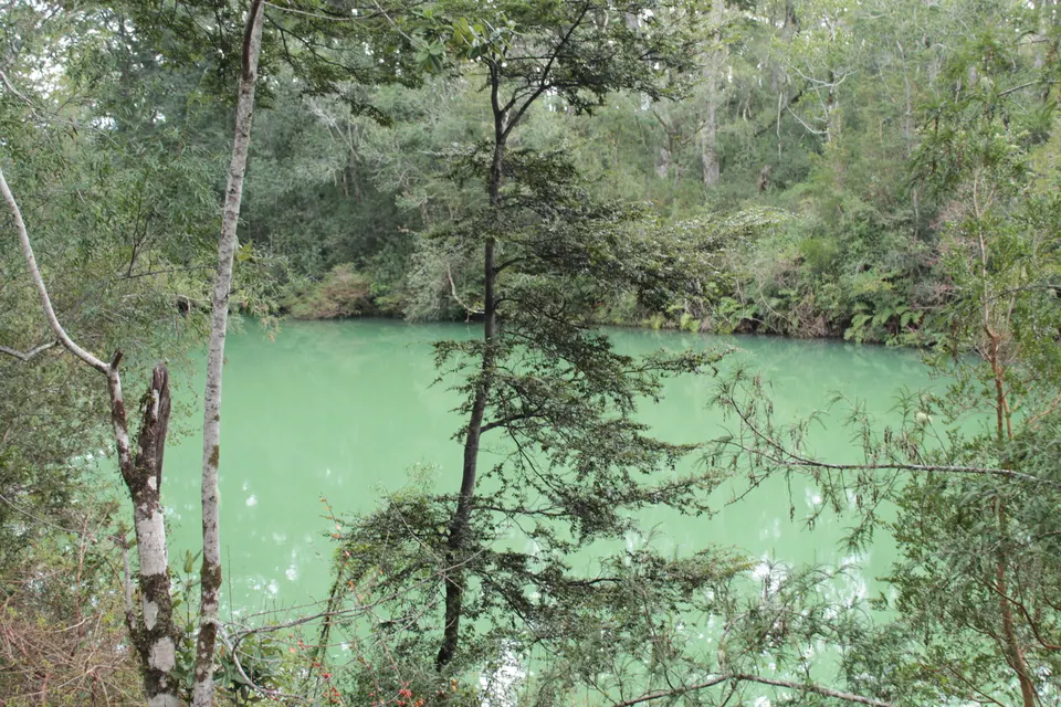 Espejo de agua esmeralda de Laguna Verde entre la densa vegetación de selva valdiviana