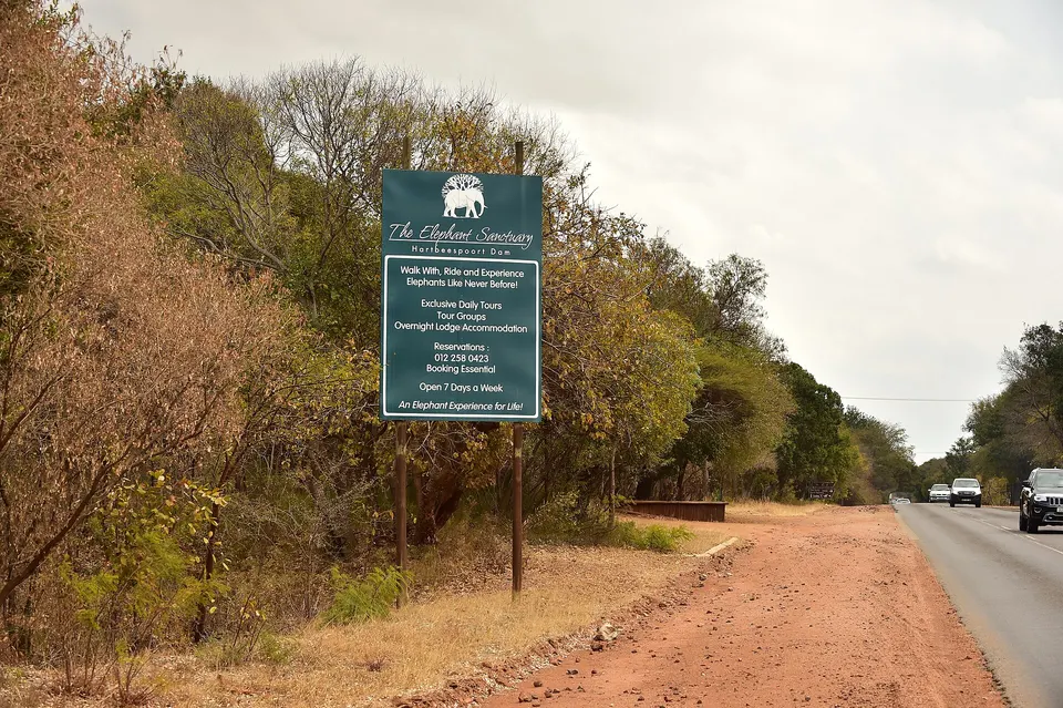 Cría de elefante rescatada recibiendo cuidados y rehabilitación en el santuario de vida silvestre.